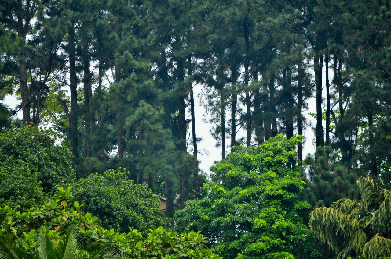 Vendol Maliga Edge Hotell Kandy Exteriör bild
